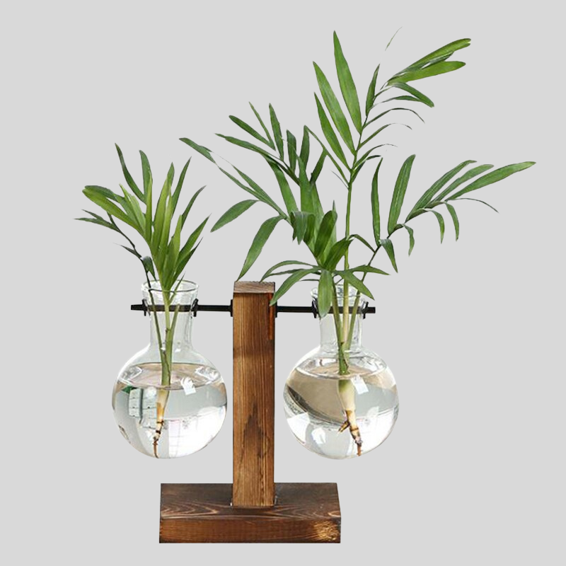 Vintaria | Terrarium En Verre Vintage, Élégance Créative | Valuna