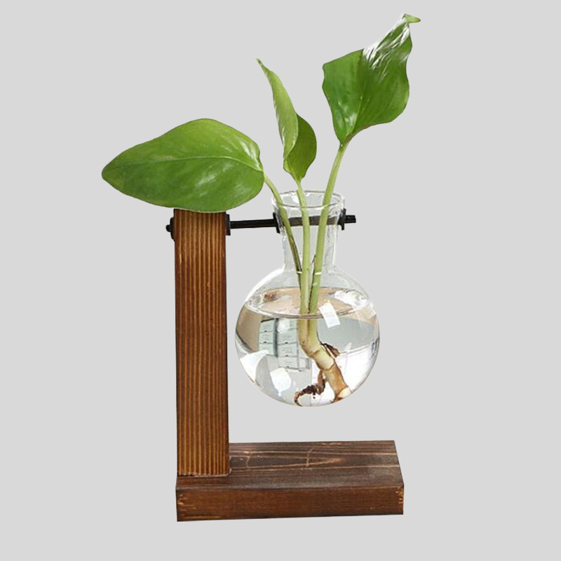 Vintaria | Terrarium En Verre Vintage, Élégance Créative | Valuna