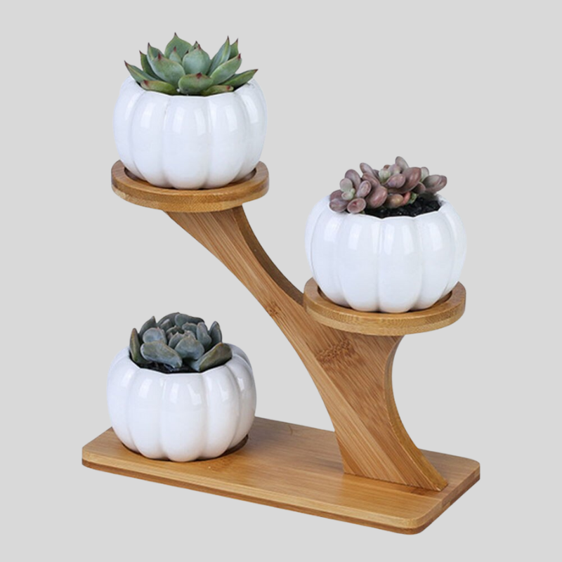 Pumpkin Stand | Support De Plante En Céramique En Forme De Citrouille | Valuna