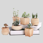 Mini Stripe | Mini Pots De Fleurs Succulentes Rayés Pour Décoration | Valuna