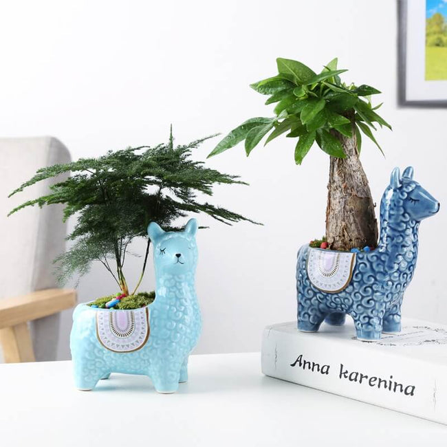 Pot De Plante | Céramique En Forme D’Animal Pour Décoration | Valuna
