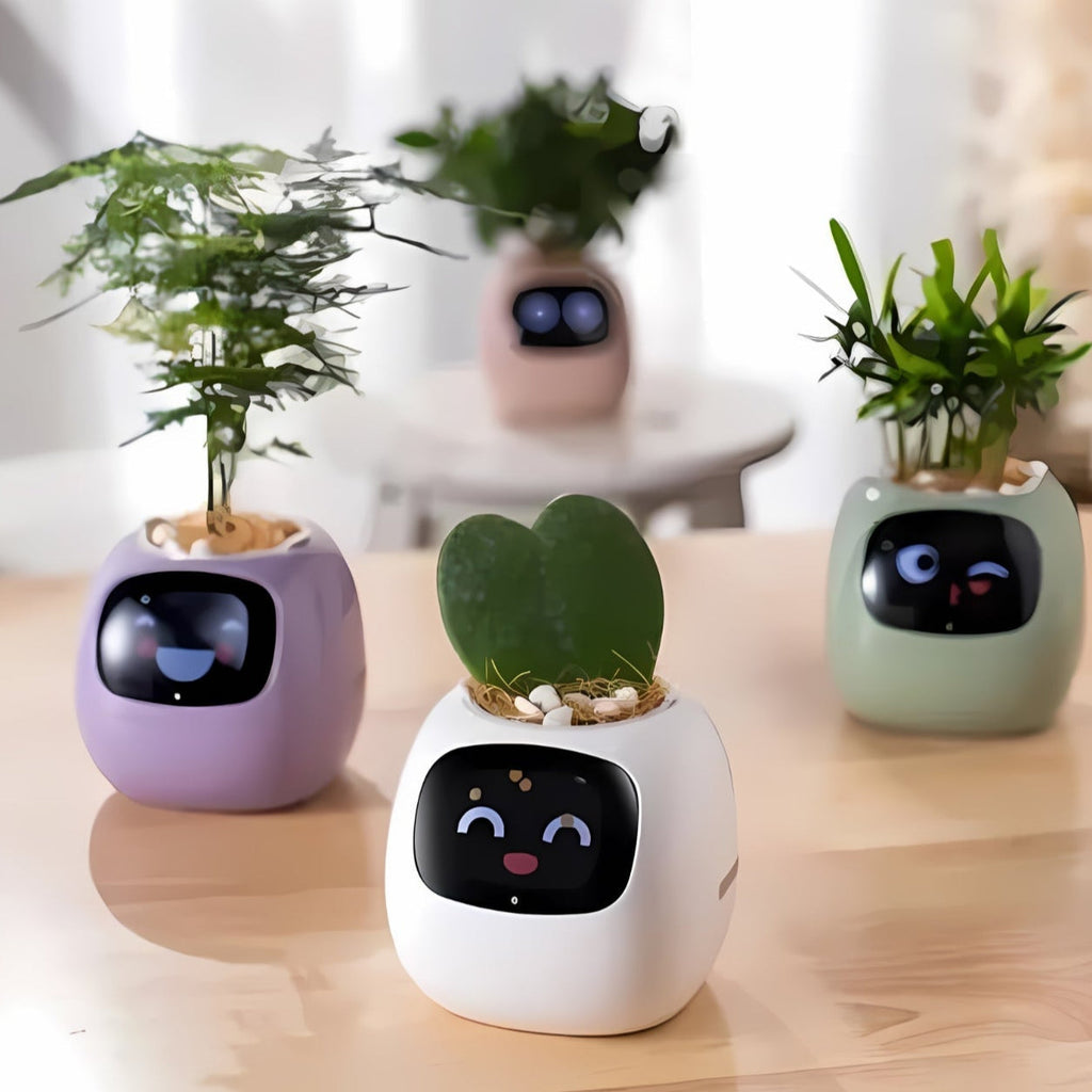 Pot De Fleurs Intelligent Avec Système D'Arrosage Automatique Et Application Mobile - Valuna