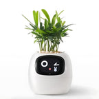 Pot De Fleurs Intelligent Avec Système D'Arrosage Automatique Et Application Mobile - Valuna