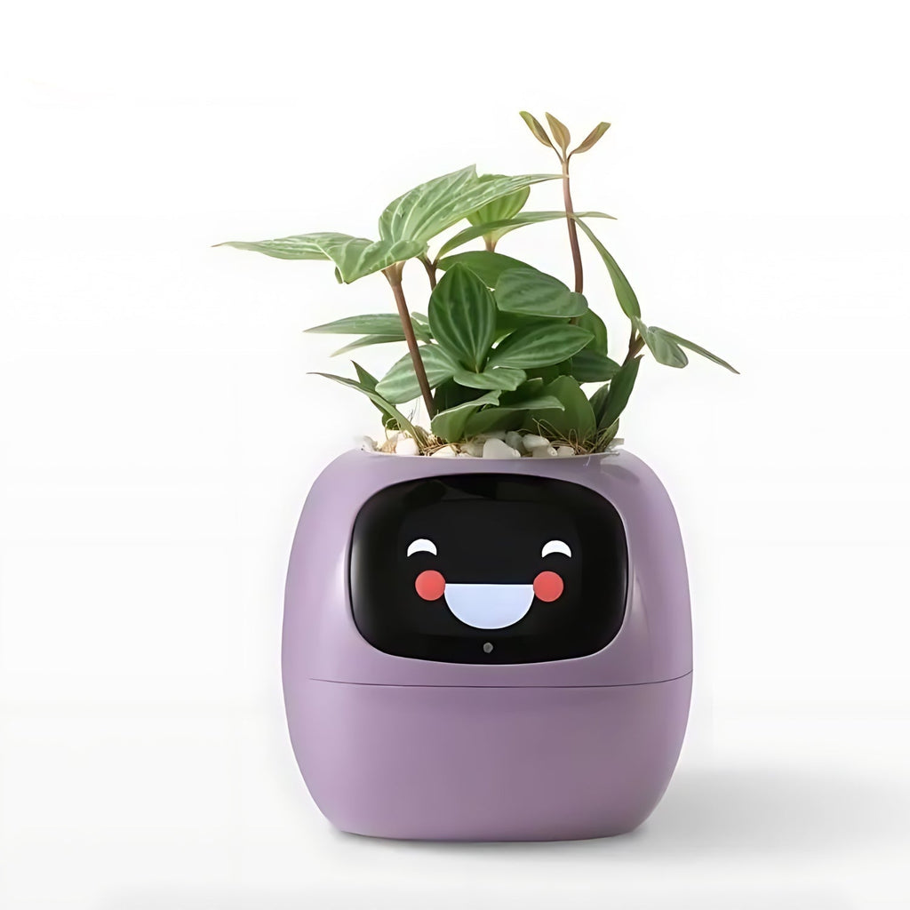Pot De Fleurs Intelligent Avec Système D'Arrosage Automatique Et Application Mobile - Valuna