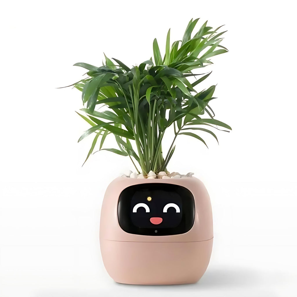 Pot De Fleurs Intelligent Avec Système D'Arrosage Automatique Et Application Mobile - Valuna